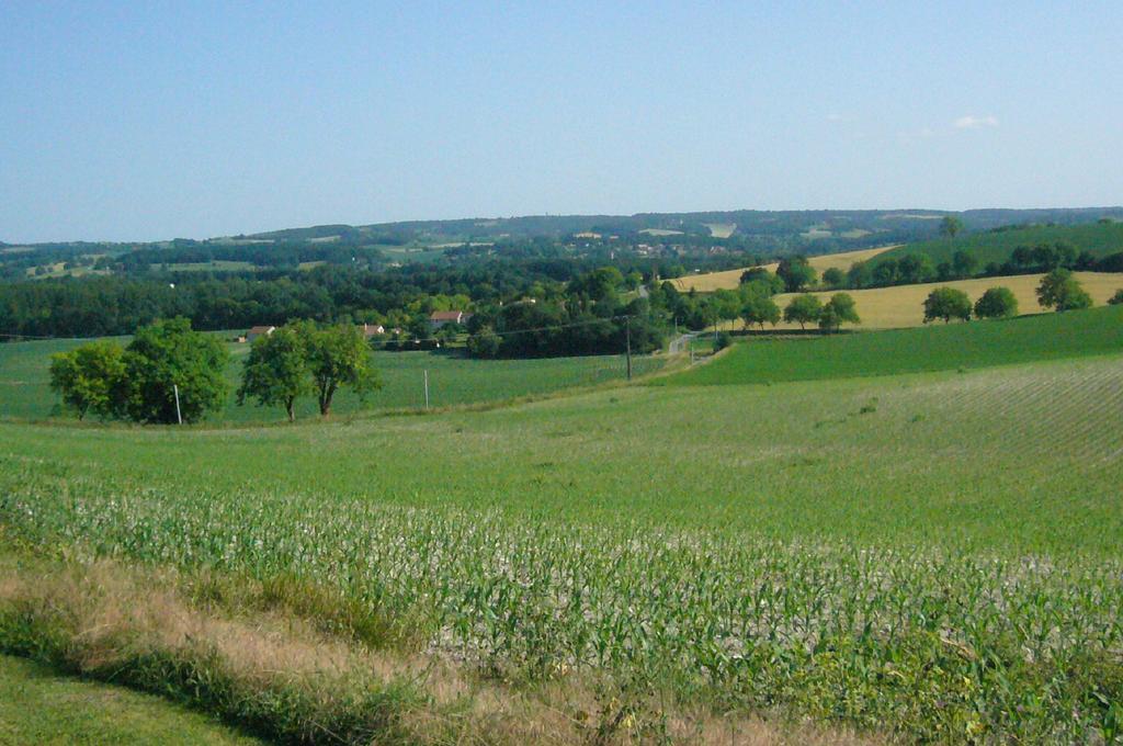 Montagrier Les Gites De La Treille מראה חיצוני תמונה